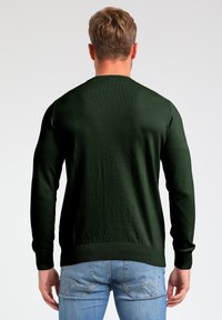 Donkergroene gebreide sweater met een ronde hals en lange mouwen, voorzien van ribgebreide boorden en een zoom, van de achterkant weergegeven.