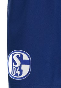 Blaue Sportshorts mit einer glatten Textur, die auf dem linken Oberschenkel ein gesticktes rundes Logo in Weiß und Blau mit der Aufschrift "S04" zeigen.