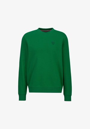 Groene sweater met ronde hals, lange mouwen en een klein geborduurd logo op de linkerborst, eenvoudig ontwerp.