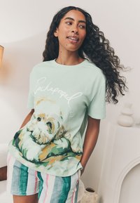 Mētas zaļas krāsas T-krekls ar gaišas krāsas suņa grafiku un uzrakstu “Rockapooed.” Pāris ar svītrainiem daudzkrāsainiem šortiem.