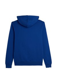 Haut à capuche bleu avec cordon de serrage, manches longues, poignets et ourlet côtelés. Texture lisse avec une couleur unie et sans motifs visibles.