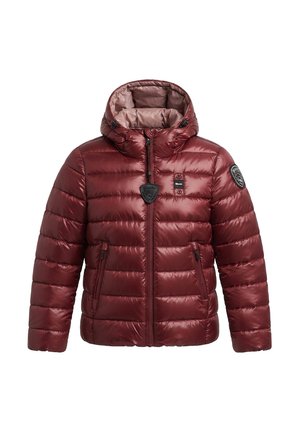 Blauer GIUBBOTTO BAMBINA - Giacca invernale - bordeaux