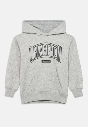 COLLEGE HOODIE LARGE LOGO - Φούτερ με κουκούλα - grey