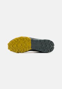 Dynafit TRAVERSE MID GORE TEX - Hikingskor - lichen/atlantic