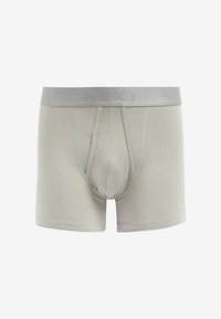 Next A FRONTS 10 PACK - Boxerbriefs - grey neutral