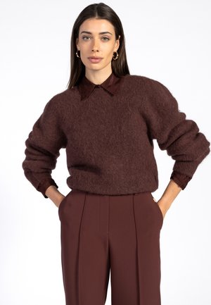 DENIZE WP  - Trui - spicy chocolate