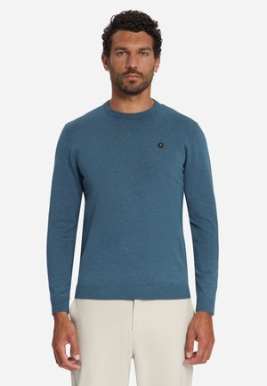 Man with curly hair and beard wearing a blue long-sleeve sweater and light-colored pants standing against a plain background.