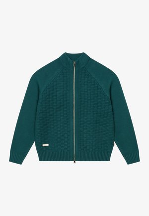 BLKVIS, STRUCTURED ZIP - Chaqueta de punto - sea moss