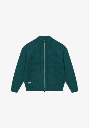 BLKVIS, STRUCTURED ZIP - Chaqueta de punto - sea moss