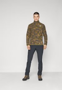 The North Face GLACIER PRINTED 1/4 ZIP - Polárpulóver - forest/olive/moss