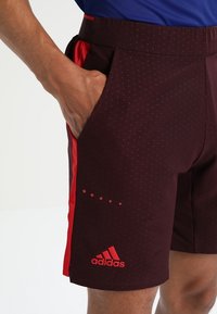 Hand i fickan på mörk vinröda Adidas-shorts med röd sidostrimma och logotyp, bärs med en blå skjorta.