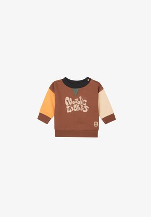 Bruine sweatshirt met meerkleurige mouwen in oranje, crème en bruin. Bevat een grafische tekstprint "Nordic Lights" en een groene accent.