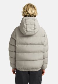 Giacca imbottita grigia chiara con cappuccio, caratterizzata da un design trapuntato e orlo elasticizzato. Il retro presenta una texture liscia e morbida.