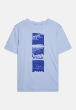 MARCH VALUE GRAPHIC BOYS - Printtipaita - blue crystal