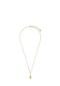 Collana d'oro con una fine catena e un pendente a goccia. Texture liscia e design minimalista, con chiusura a moschettone e catena di estensione.