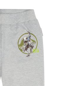 Graue Jogginghosen mit einem grafischen Design eines Dinosauriers innerhalb eines grünen Kreises, bedruckt mit dem Text "BETA" in lebhaften Farben. Weicher, leichter Stoff.