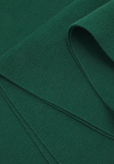 Polo Ralph Lauren COMBED COTTON SCARF - Šal - vintage pine
