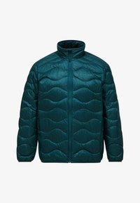 Unausgewählt, ponderosa pine