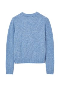 Maglione azzurro chiaro realizzato in tessuto morbido, con scollatura rotonda e polsini e orlo a costine. Il retro presenta un motivo a maglia strutturato.