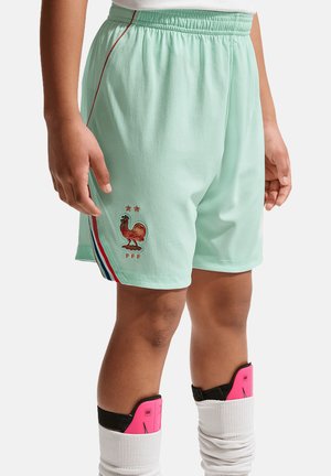 Nike Performance Equipación de selecciones - gruen