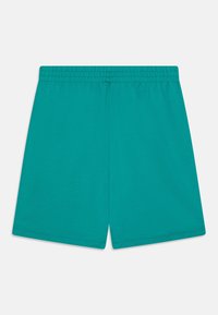 Turquoise katoenen shorts met een elastische tailleband, met een eenvoudig, effen ontwerp en zonder zichtbare patronen of hardware details.
