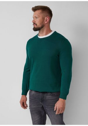MIT LOGO-STICKEREI - Strickpullover - tannengrün