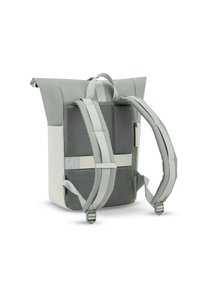 Zaino a roll top grigio chiaro con schienale in rete imbottita, spallacci regolabili e maniglia superiore, mostrato da dietro su sfondo bianco.