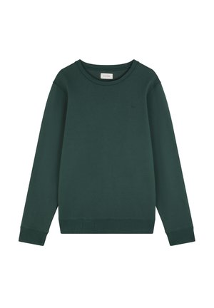 Donkergroen sweatshirt van zacht materiaal. Heeft een ronde hals, lange mouwen, geribbelde boorden en zoom, en een klein logo op de borst.