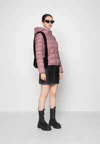 JDY JDYZULU HOOD JACKET - Casaco leve - nostalgia rose