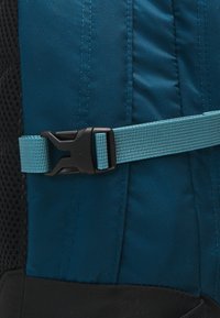The North Face BOREALIS CLASSIC - Hátitáska - midnight petrol/algae blue