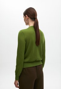 Grön stickad tröja med rund halsringning, långa ärmar och ribbad nederkant. Tyget verkar mjukt och lätt. Byxorna är bruna.