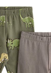 Legginsy z motywem dinozaurów, zielone z różnorodnymi nadrukami dinozaurów oraz kontrastujące szare. Oba mają elastyczne pasy.