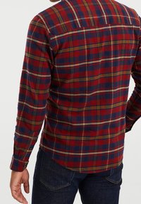 Punane ja sinine ruuduline särk, millel on rohelised ja kollased aksessuaarid, pikad varrukad, nööbid mansettidel ja kaarjas äär. Pehme tekstuur ja vaba lõige.