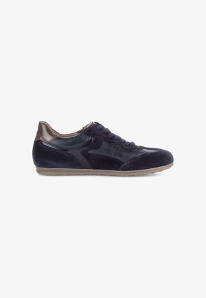 Gabor, GABOR SNEAKER LOW - Trainers - dark-blue cacao