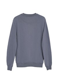 Grå sweatshirt med långa ärmar, rundad halsringning och ett mjukt, texturerat tyg. Har en avslappnad passform och ribbade ärmslut och nederkant.