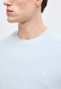 Νεαρός άνδρας που φοράει ένα ανοιχτό μπλε πουλόβερ με υφή πλέξης και ένα μικρό κεντητό λογότυπο στο στήθος, εμφανιζόμενος από τον ώμο μέχρι το πηγούνι.