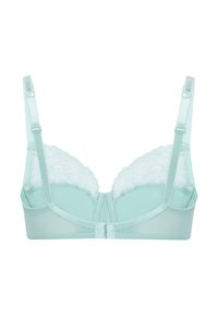 Mintgrön bh med spetsdetaljer och en slät tygkvalitet. Har justerbara band och en hakstängning på baksidan.