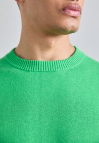 KNITID CASHMERE BLEND PLAIN CREW NECK - Strikkegenser - green flash