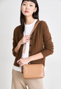 Δεν επιλέχθηκε, lion