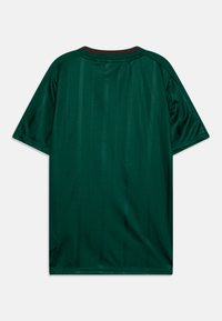 adidas Performance TIRO NATIONS PACK KIDS - Apdrukāts T-krekls - dark green/collegiate burgundy/cloud white