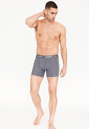 Graue Boxershorts aus glattem Stoff mit enganliegender Passform. Sie verfügen über einen elastischen Bund mit dem Markennamen in schwarzer Schrift.