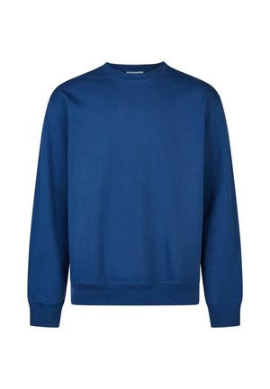 Blue sweatshirt made from soft fabric, featuring a crew neck, long sleeves, and a relaxed fit with ribbed cuffs and hem.