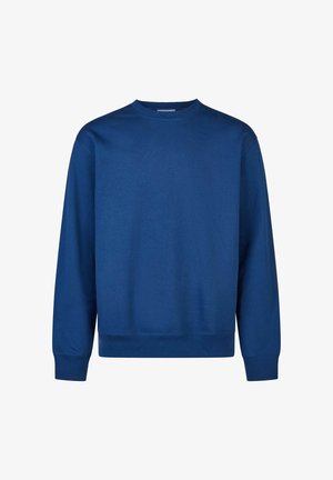 Blue sweatshirt made from soft fabric, featuring a crew neck, long sleeves, and a relaxed fit with ribbed cuffs and hem.