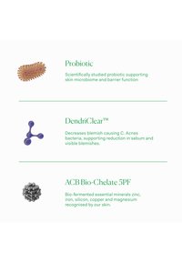 Immagine in miniatura 4