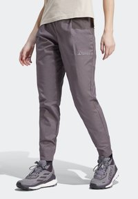 Grå vandringsbyxor med smalnande ben, utrustade med en elastisk midja och logodetalj. Bärs med grå vandringsskor på en ljus bakgrund.