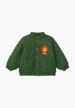 DIAMOND QUILTED - Winterjacke - dark green