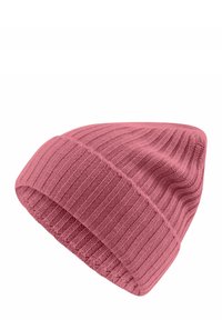 Niewybrane, winterrose