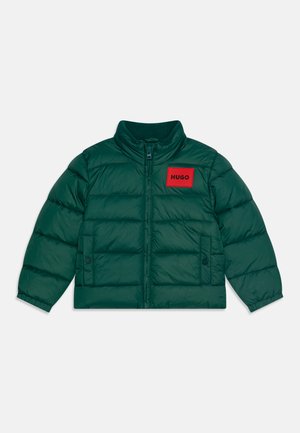 PUFFER - Veste d'hiver - rain forest