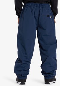 DC Shoes Snowboardbyxor - purple