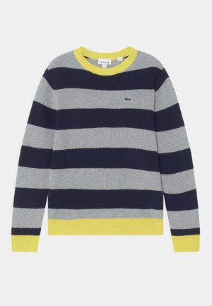Jumper - silver chine/navy blue/daphne yellow